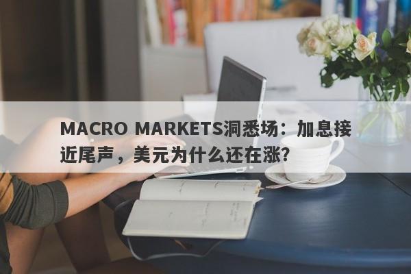 MACRO MARKETS洞悉场：加息接近尾声，美元为什么还在涨？