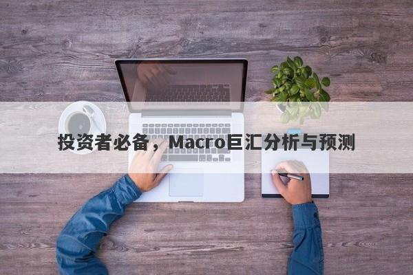 投资者必备，Macro巨汇分析与预测