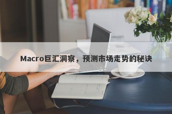 Macro巨汇洞察，预测市场走势的秘诀