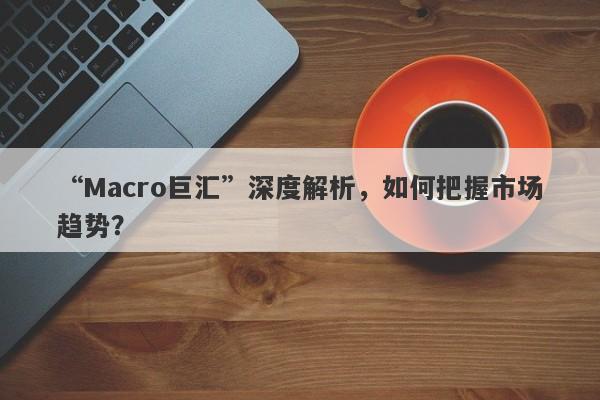 “Macro巨汇”深度解析，如何把握市场趋势？