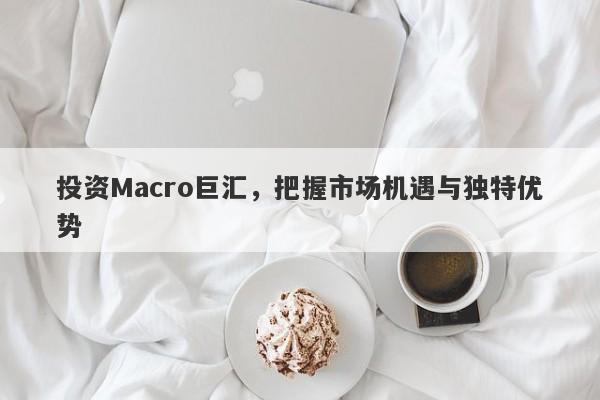 投资Macro巨汇，把握市场机遇与独特优势