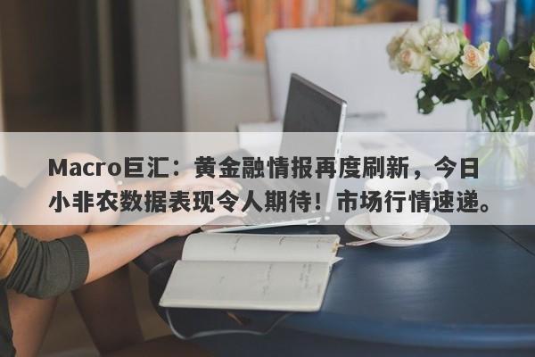 Macro巨汇：黄金融情报再度刷新，今日小非农数据表现令人期待！市场行情速递。