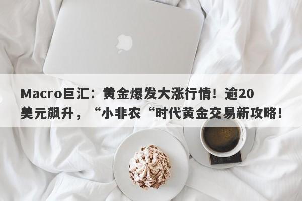 Macro巨汇：黄金爆发大涨行情！逾20美元飙升，“小非农“时代黄金交易新攻略！