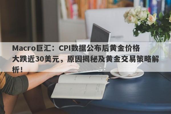 Macro巨汇：CPI数据公布后黄金价格大跌近30美元，原因揭秘及黄金交易策略解析！