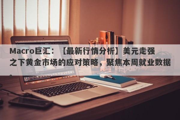 Macro巨汇：【最新行情分析】美元走强之下黄金市场的应对策略，聚焦本周就业数据。