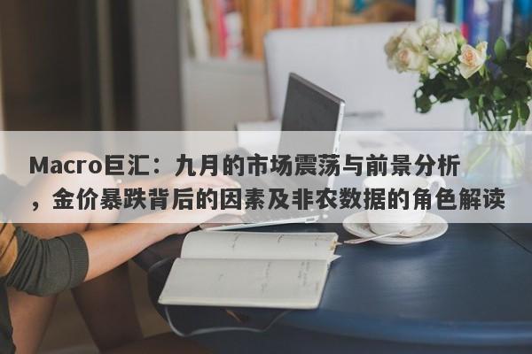 Macro巨汇：九月的市场震荡与前景分析，金价暴跌背后的因素及非农数据的角色解读