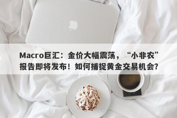 Macro巨汇：金价大幅震荡，“小非农”报告即将发布！如何捕捉黄金交易机会？