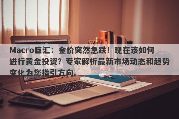 Macro巨汇：金价突然急跌！现在该如何进行黄金投资？专家解析最新市场动态和趋势变化为您指引方向。