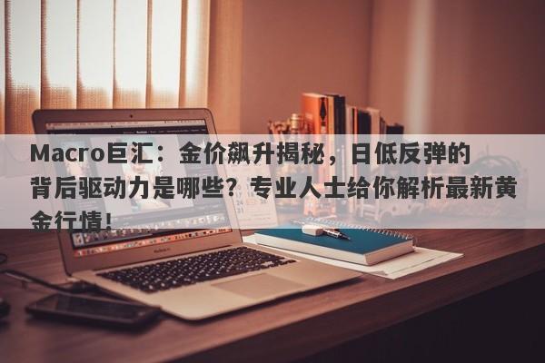 Macro巨汇：金价飙升揭秘，日低反弹的背后驱动力是哪些？专业人士给你解析最新黄金行情！