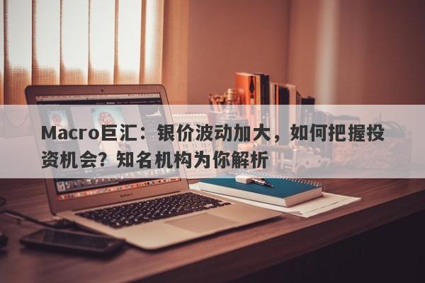 Macro巨汇：银价波动加大，如何把握投资机会？知名机构为你解析