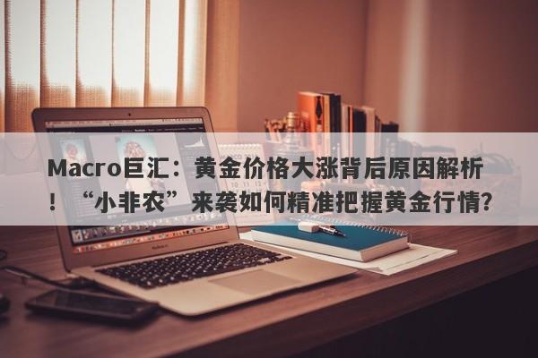 Macro巨汇：黄金价格大涨背后原因解析！“小非农”来袭如何精准把握黄金行情？
