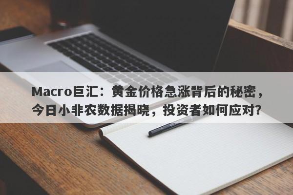 Macro巨汇：黄金价格急涨背后的秘密，今日小非农数据揭晓，投资者如何应对？