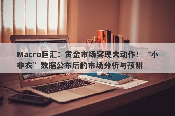 Macro巨汇：黄金市场突现大动作！“小非农”数据公布后的市场分析与预测