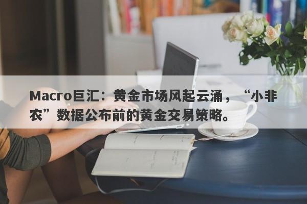 Macro巨汇：黄金市场风起云涌，“小非农”数据公布前的黄金交易策略。