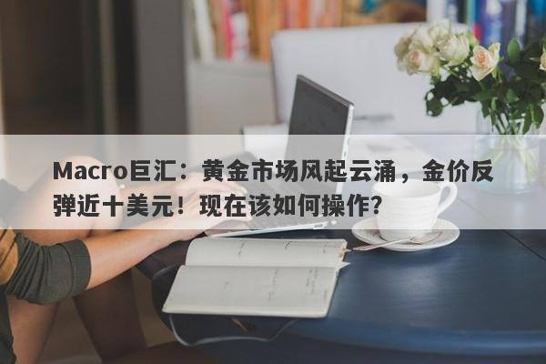 Macro巨汇：黄金市场风起云涌，金价反弹近十美元！现在该如何操作？
